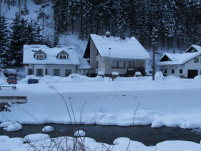 Pension Krupka 443 - Ski Herlikovice a Bubákov Vrchlabi